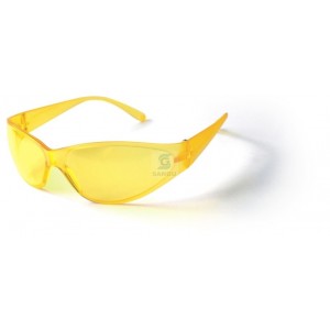 http://www.sg-safety.com/125-240-thickbox/safety-goggles.jpg