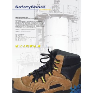 http://www.sg-safety.com/43-152-thickbox/protective-footware.jpg